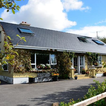 Inisean Ocean View Bed & Breakfast Dungloe Eksteriør bilde